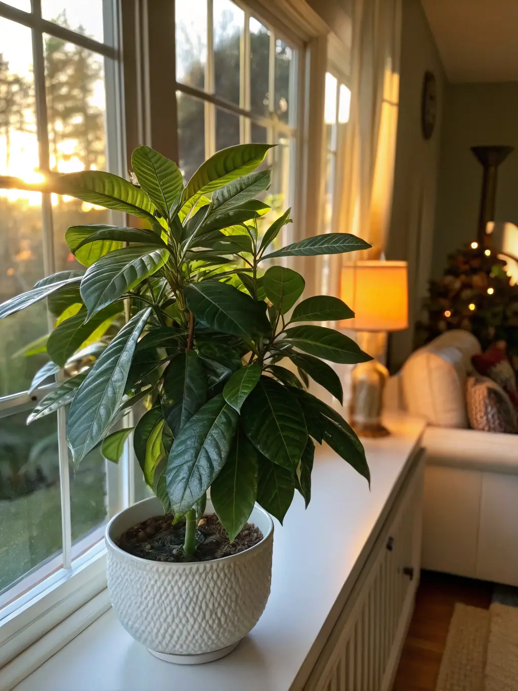 A green plant in a pot sitting on a windowsill, with sunlight streaming in. The background shows a clean and bright living room.