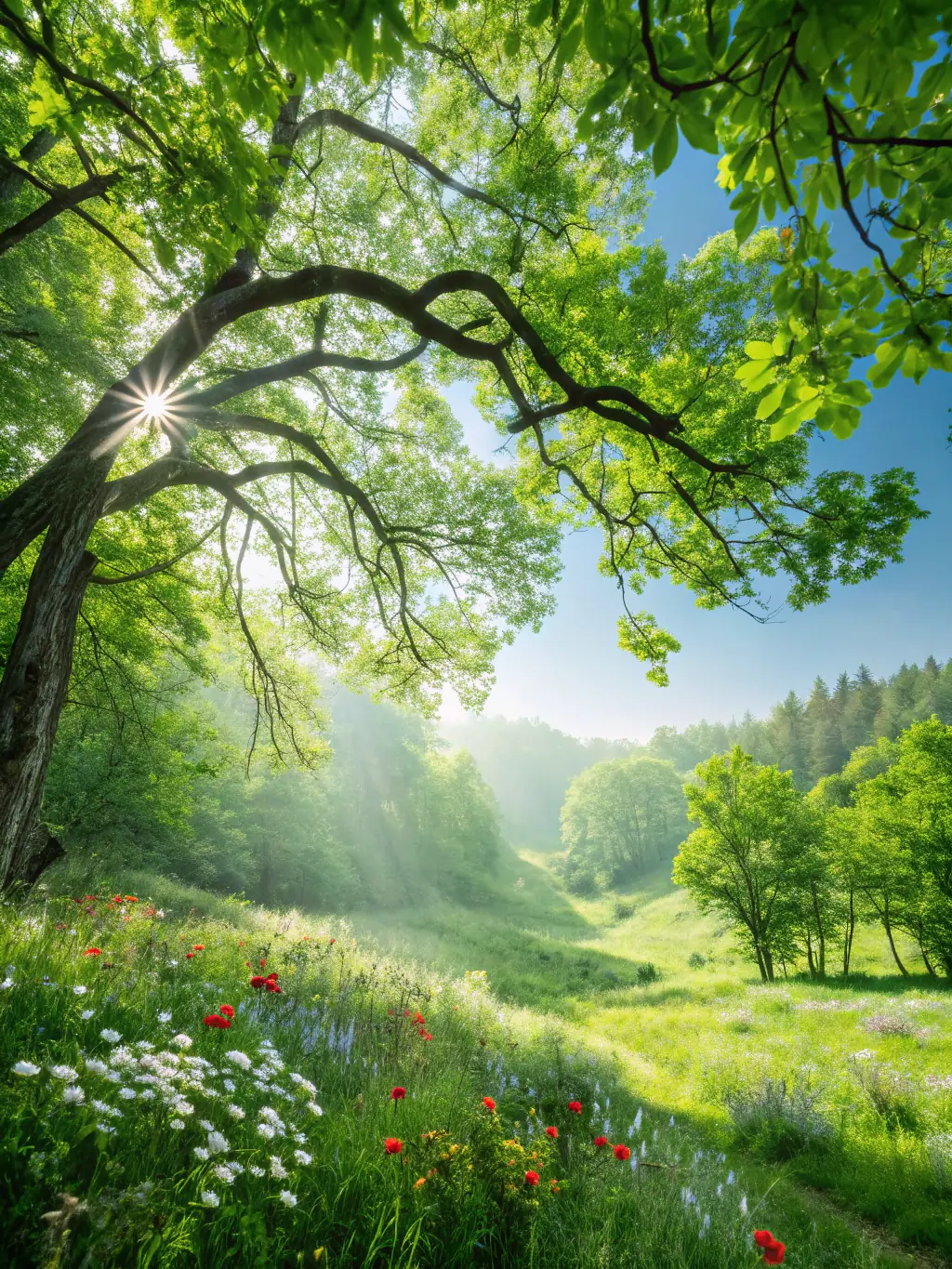 A landscape showing a lush green forest with a clear blue sky, symbolizing environmental sustainability and the benefits of eco-friendly practices.