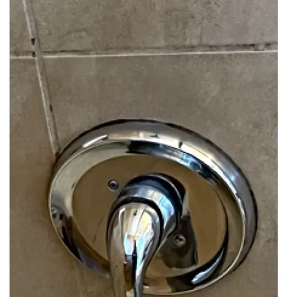 Sparkling clean shower faucet after cleaning
