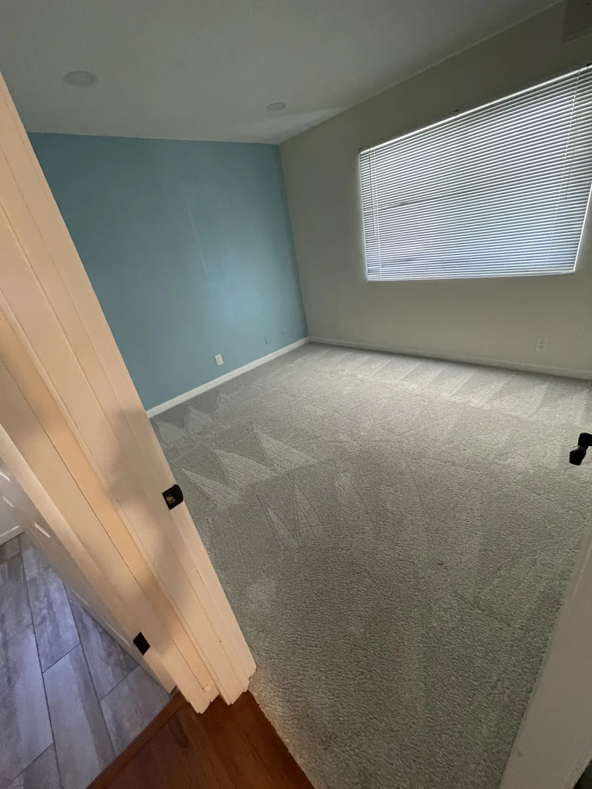Freshly cleaned bedroom carpet